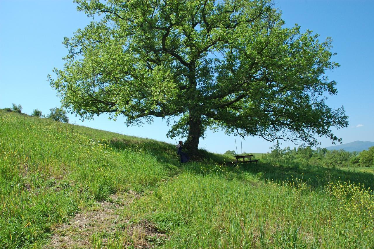Podere Santa Maria Monte Antico Eksteriør bilde
